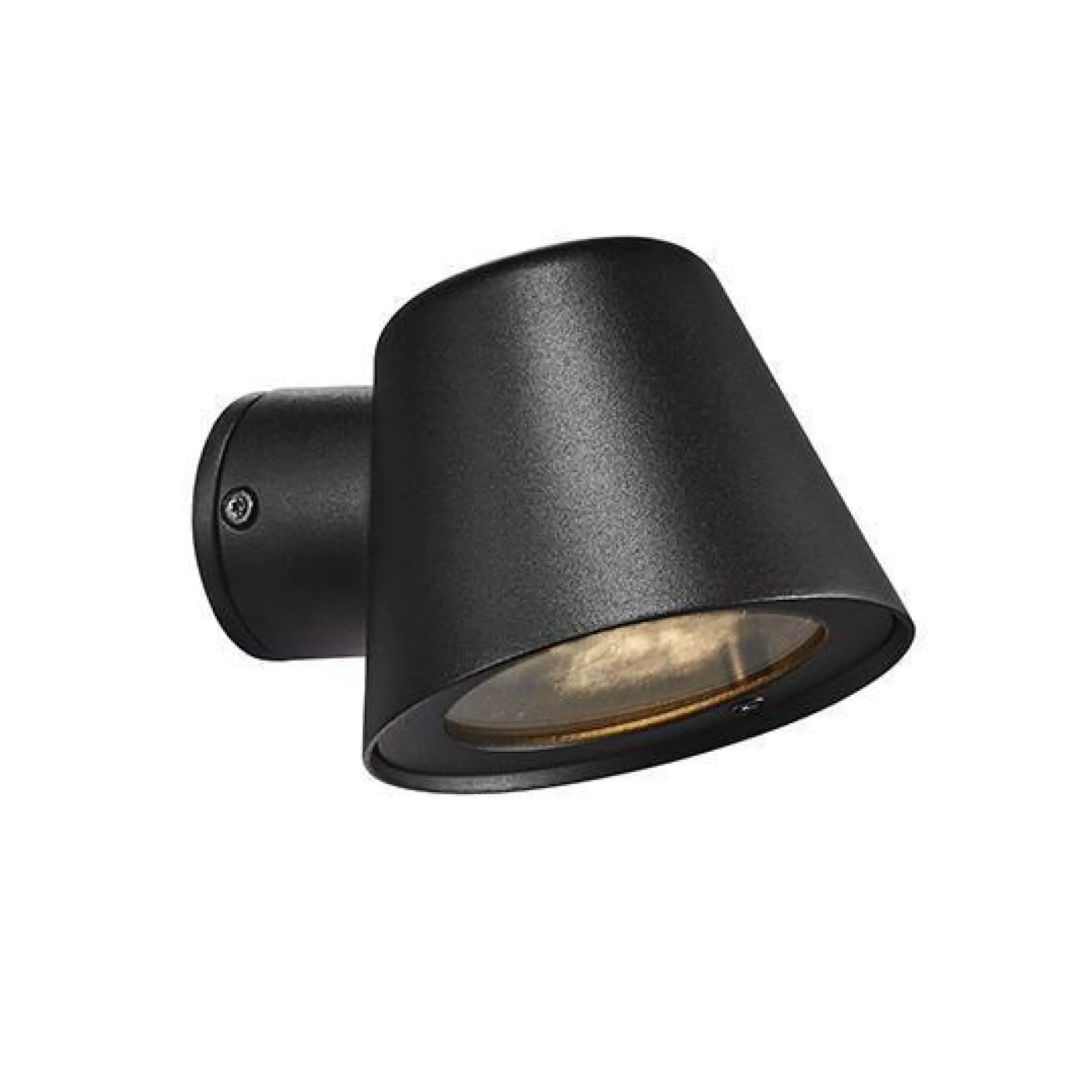Aleria w | brass