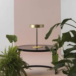Ambor t | matt brass