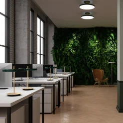 Asteria floor | anthracite