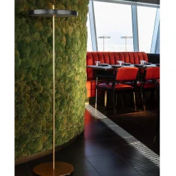 Asteria floor | forest