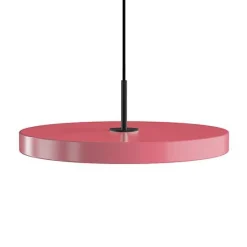 Asteria medium 43 | anthracite