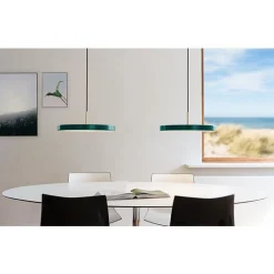 Asteria medium 43 | nuance olive