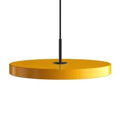 Asteria medium 43 | nuance olive