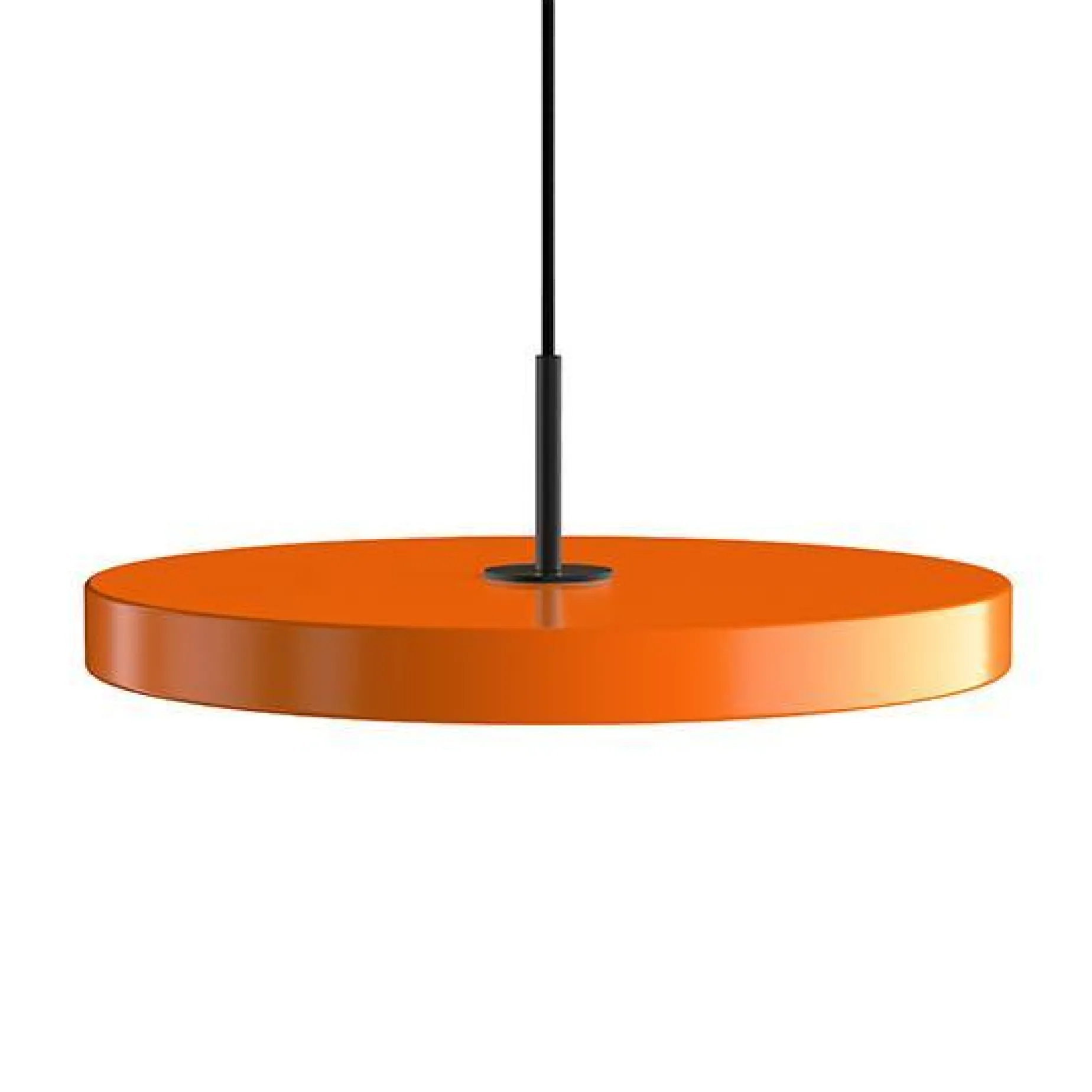 Asteria medium 43 | nuance orange