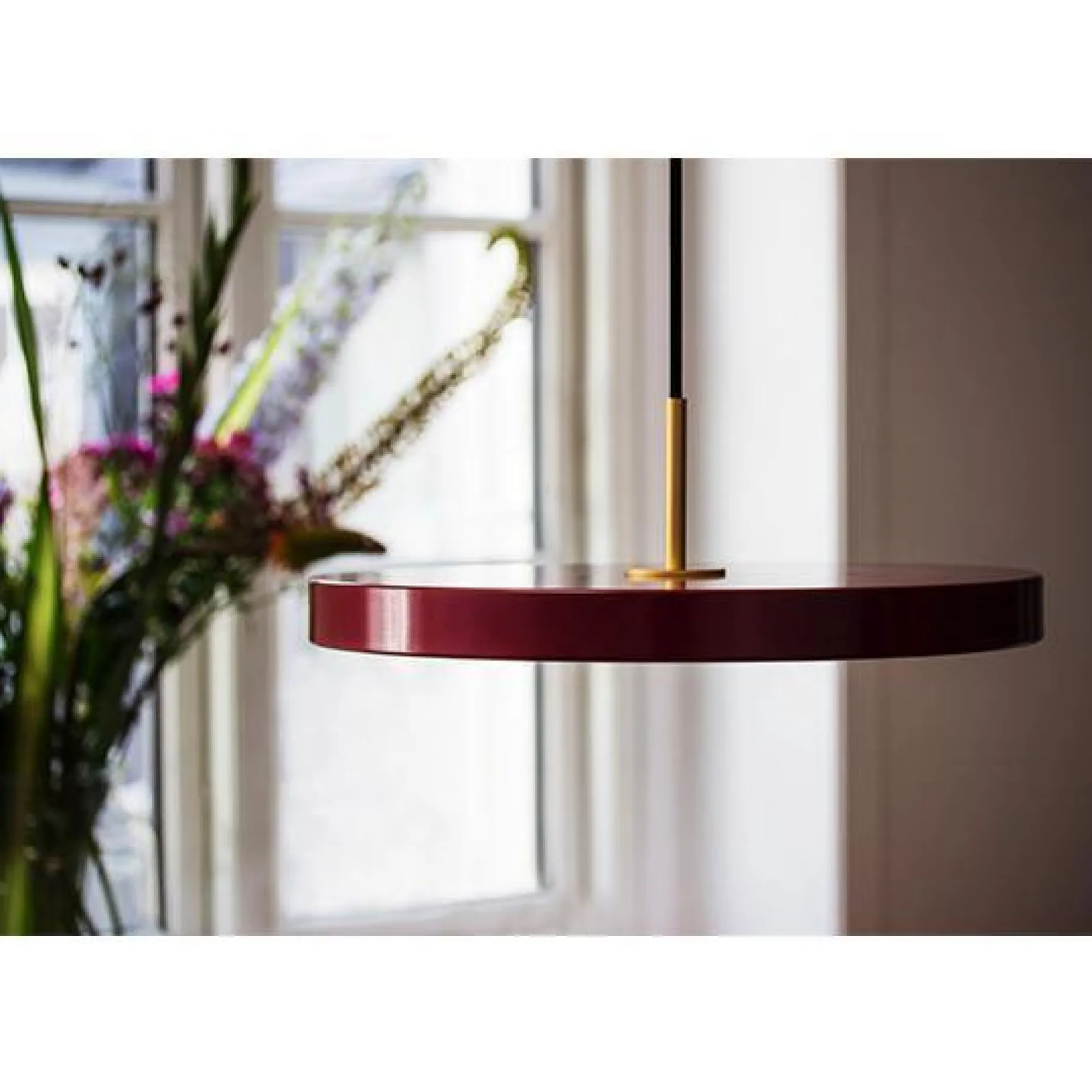 Asteria medium 43 | nuance orange