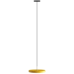Asteria medium 43 | saffron yellow