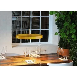 Asteria medium 43 | saffron yellow