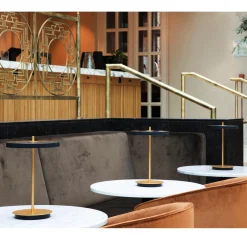 Asteria move portable | nuance olive