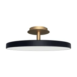 Asteria up | large anthracite