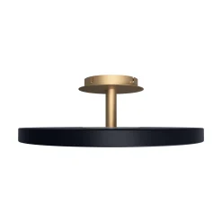 Asteria up | large anthracite