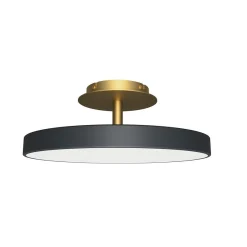 Asteria up | large anthracite
