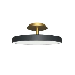 Asteria up | large anthracite