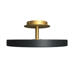 Asteria up | medium anthracite
