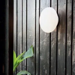 Bubble wall IP | white