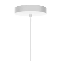 Clava dine wood | oak