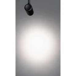 Coco ⌀4,2 magnetic 24V | black