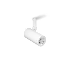 Coco ⌀4,2 magnetic 24V | white