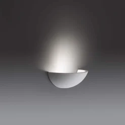 Cove | plaster