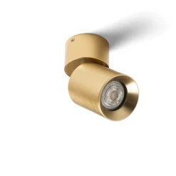 Dario c | brushed brass