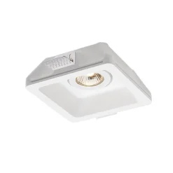 Dino I | white