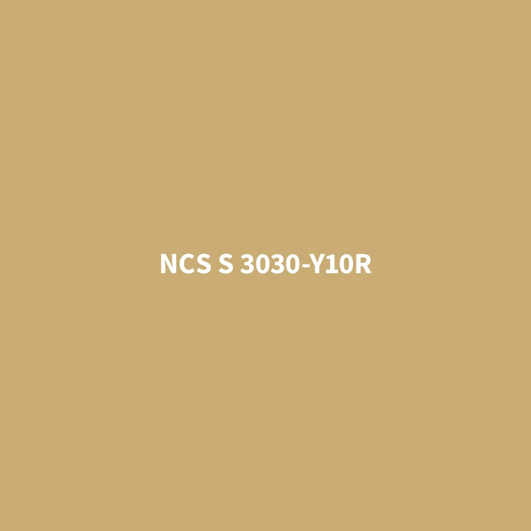 Donna 15 wall | blush
