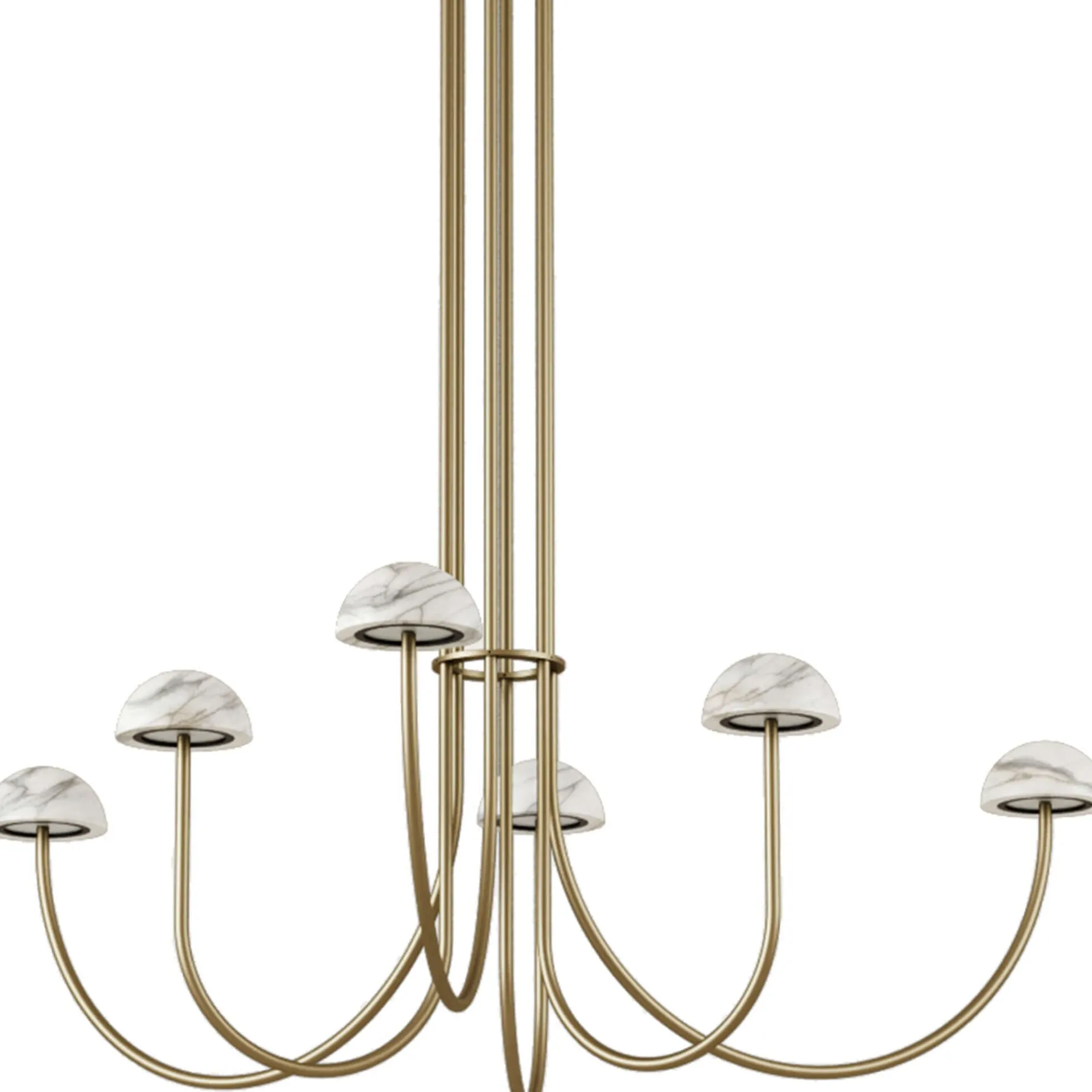 Dussa 6 | aged gold and white