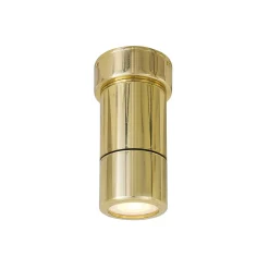 Ennis ceiling IP | brass