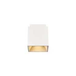 Ethan | white