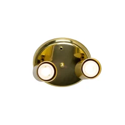Evanston brass 2-spotlight | satin brass