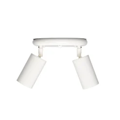 Evanston brass 2-spotlight | satin brass