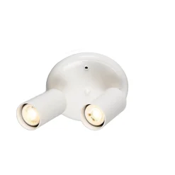 Evanston brass 2-spotlight | satin brass