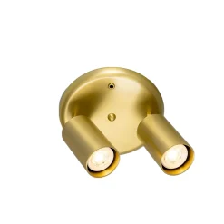 Evanston brass 2-spotlight | satin brass