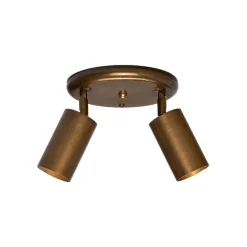 Evanston brass 2-spotlight | satin brass