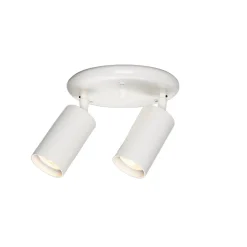 Evanston brass 2-spotlight | antique brass