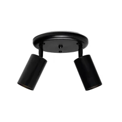 Evanston brass 2-spotlight | antique brass