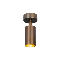 Evanston brass spotlight | antique brass