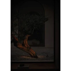 Flash outdoor | textured oxidon