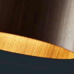 FM1954 veneer small ø16 | walnut