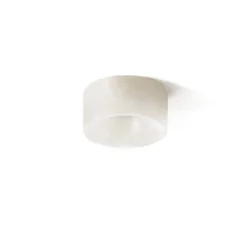 Focus ceiling | aged gold
