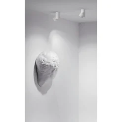 IO surface micro | white