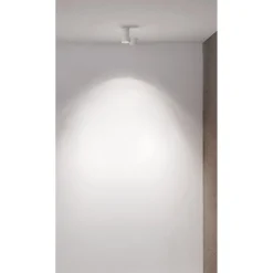 IO surface micro | white