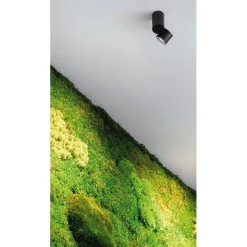 IO surface micro | white