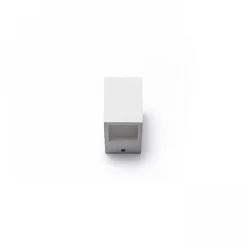 Jack w gesso | small