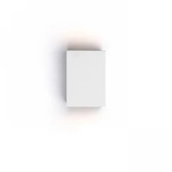 Jack w gesso | small