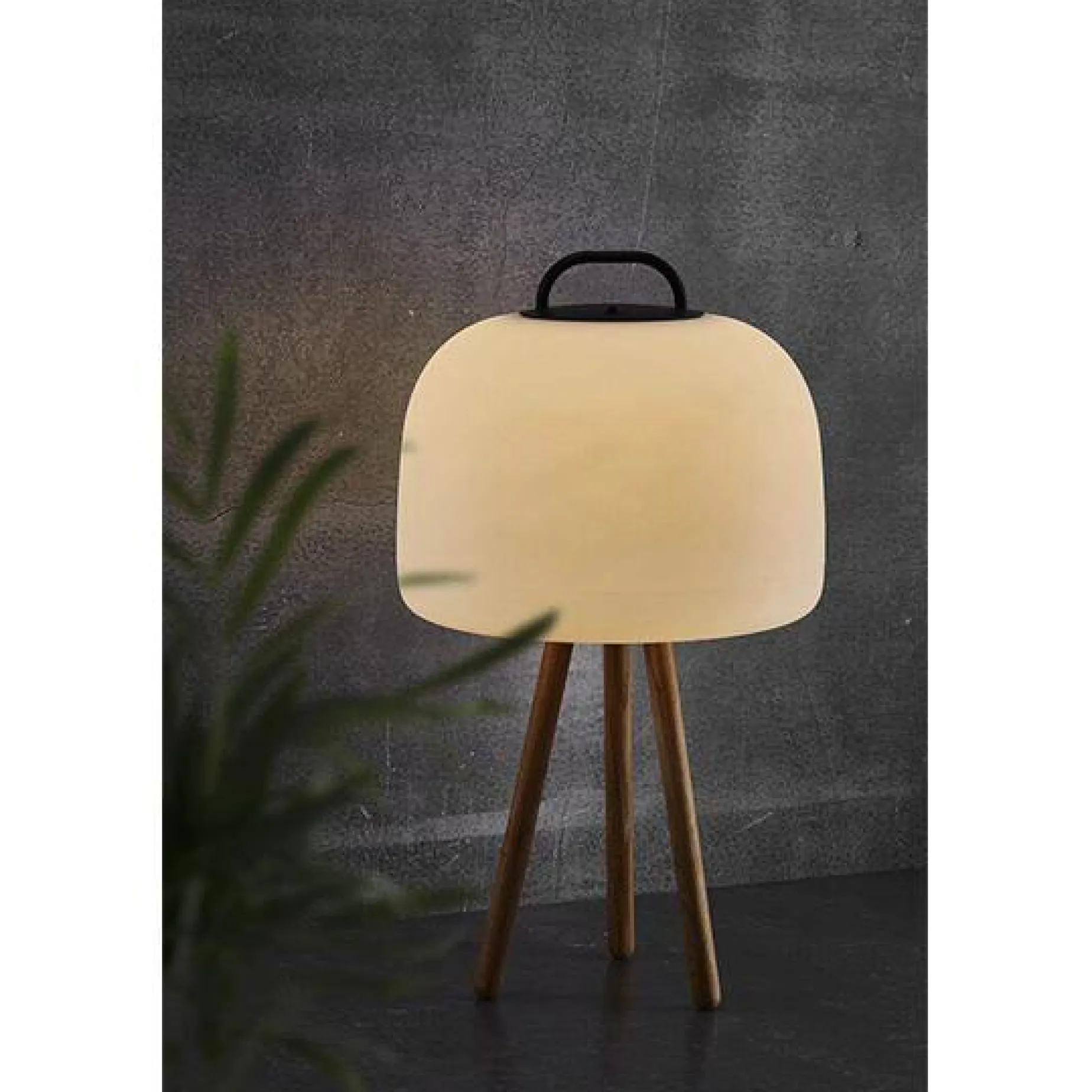 Kettle portable 22 | spike