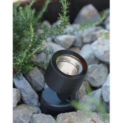 Noa 100 | green