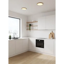 Oja IP | 42 white+ / 3-step