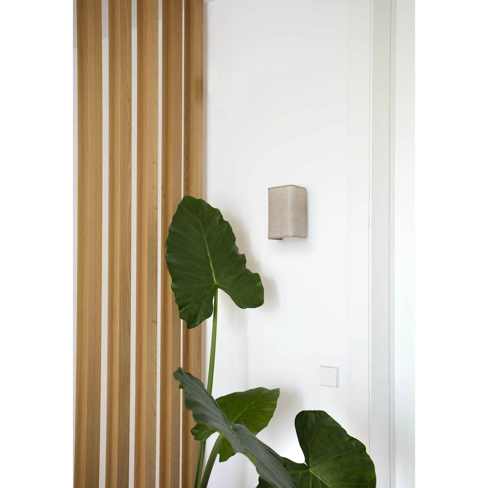 Otton RCT vertical wall | jute