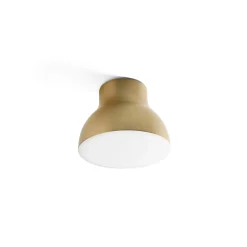 Passepartout JH11 | bronzed brass