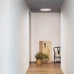 Ray ceiling plafon | ⌀35-⌀60 white